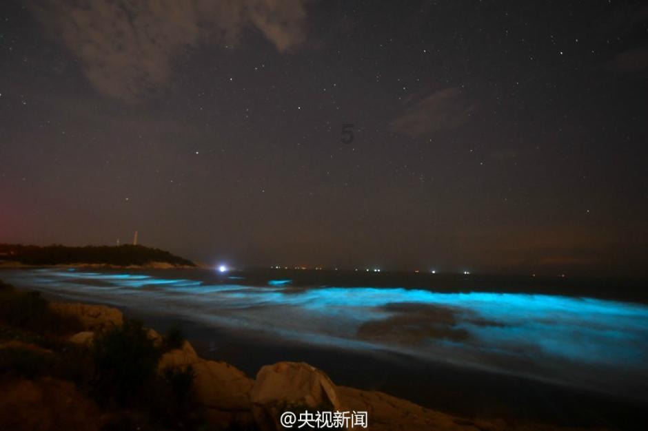 泽卡报名是烟雾弹?归化继续遭无视,泰山队中场全华班 没后腰备选