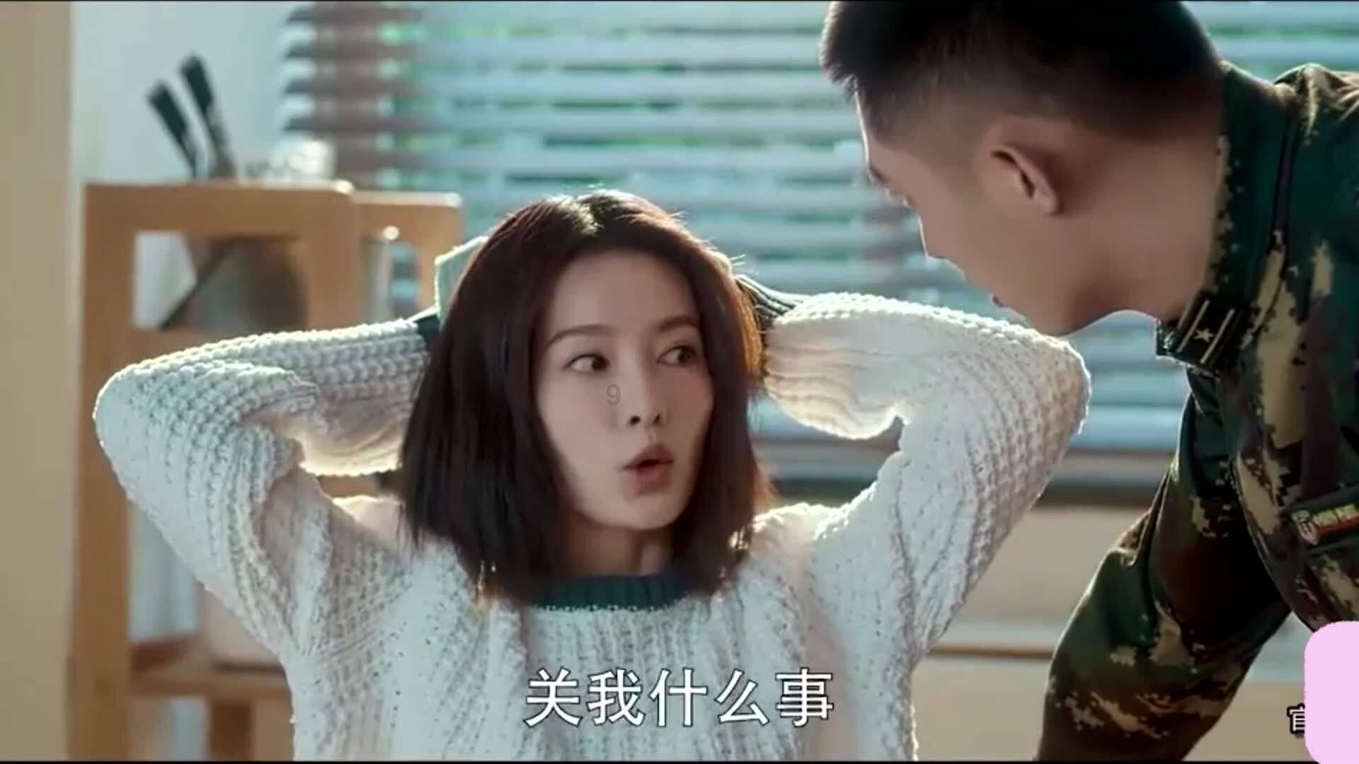 植物大战僵尸19