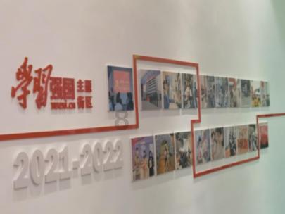 飞天小猪仔